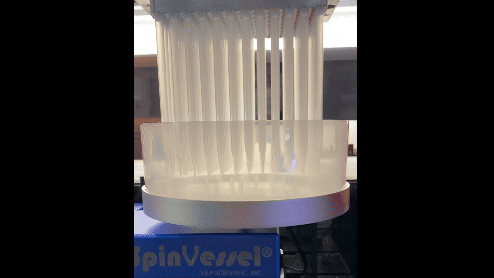 650 gif_1
