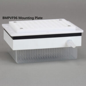 VP 179R with BMPVF96